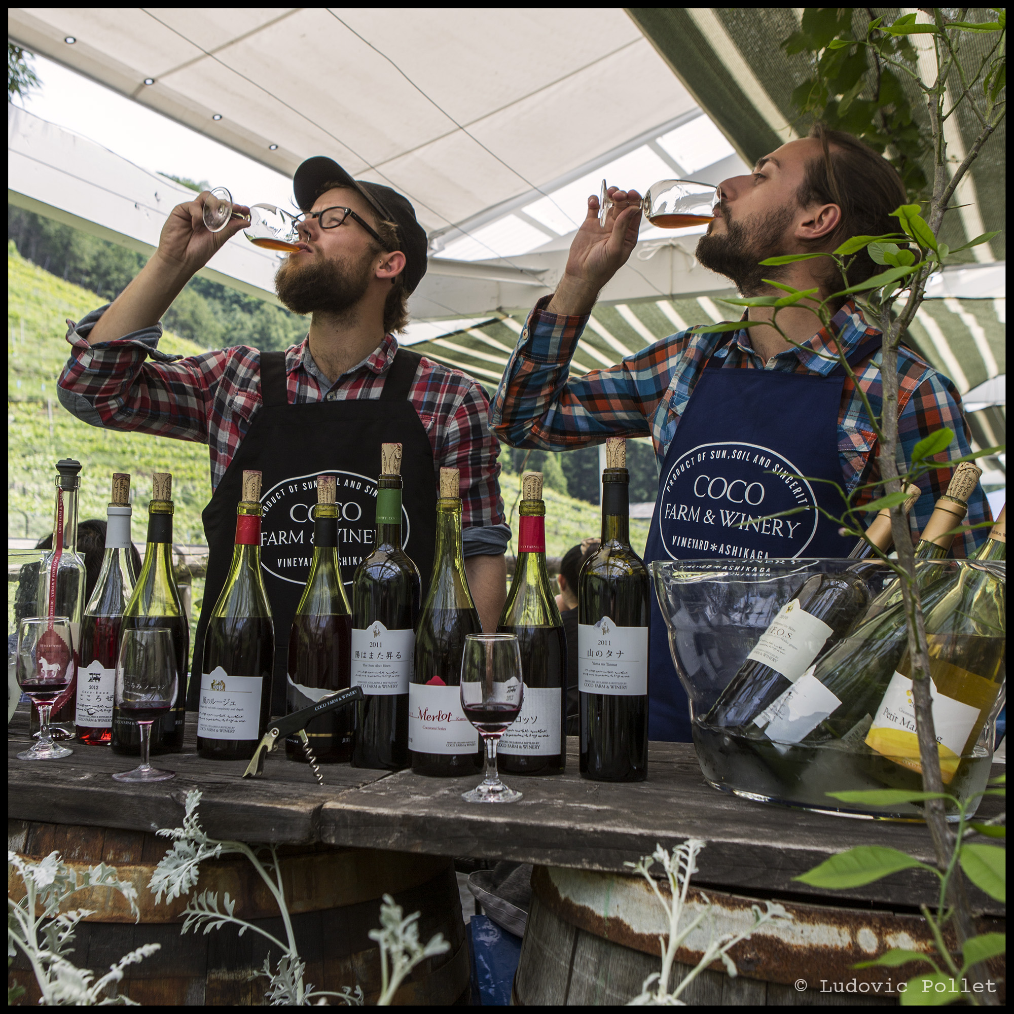 Portrait de JeanBaptiste Ancelot, wine explorers